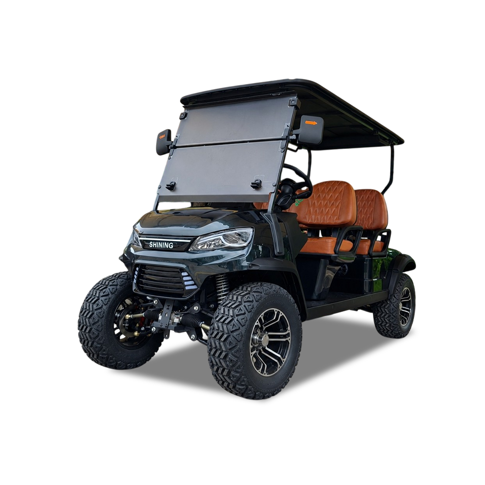 Electric 48V100AH Batteries Golf Cart Model D