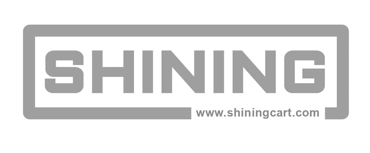 Shining Vehicle Logo