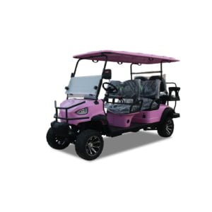 300CC Gas Golf Cart 6 Seat Model B
