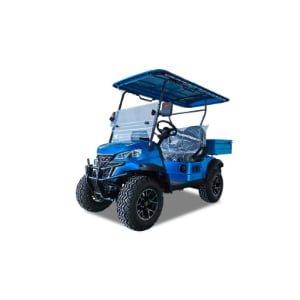 2 Seat 200CC Gas Golf Cart With Cargo Box Model F