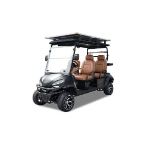 4 Seat Premium Gasoline Golf Cart Model S